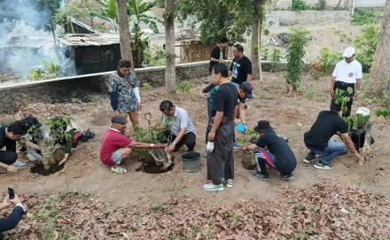 Penanaman Pohon Mentaok di Kawasan Makam Nyi Melati Singosaren